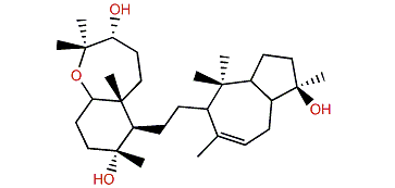 Sipholenol B
